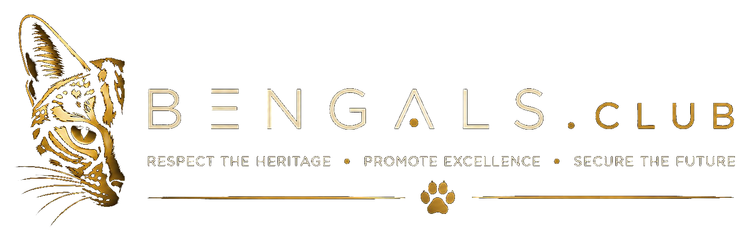 Bengals Club