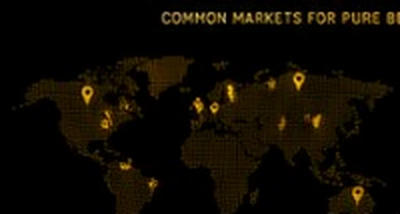 Common markets for pure Bengal cats