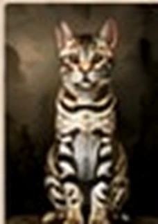Champion Bengal