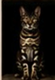 Champion Bengal