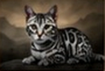 Silver Bengal